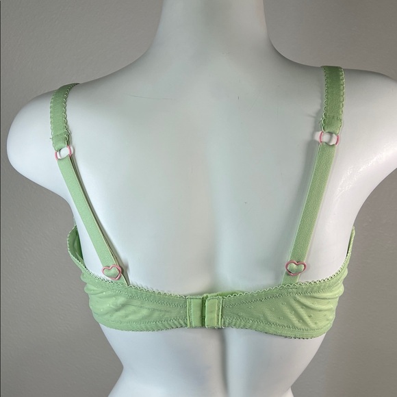 PINK Victoria's Secret Light Green Heart Lace Underwire Bra Pink Accents 38DD - Picture 4 of 12
